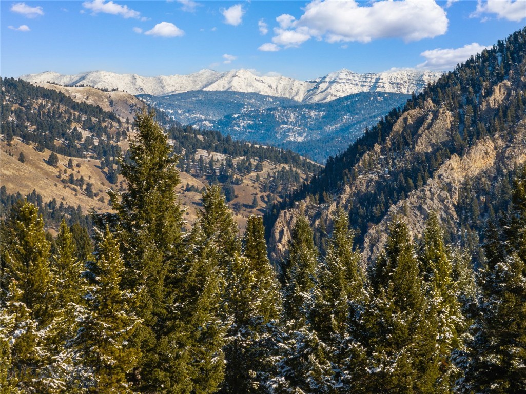 Blackfoot Hills - Land
