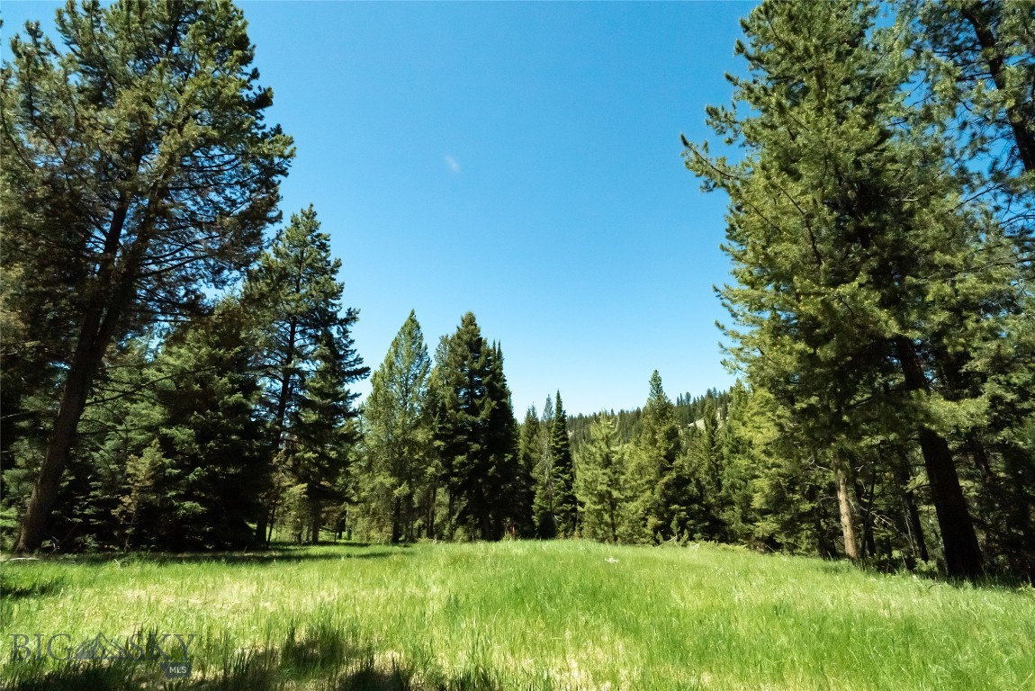 Blackfoot Hills - Residential