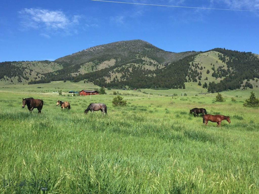 17630 Rocky Mountain Road