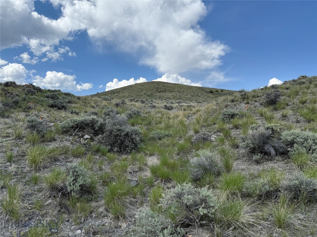 Minor Subdivision - Land