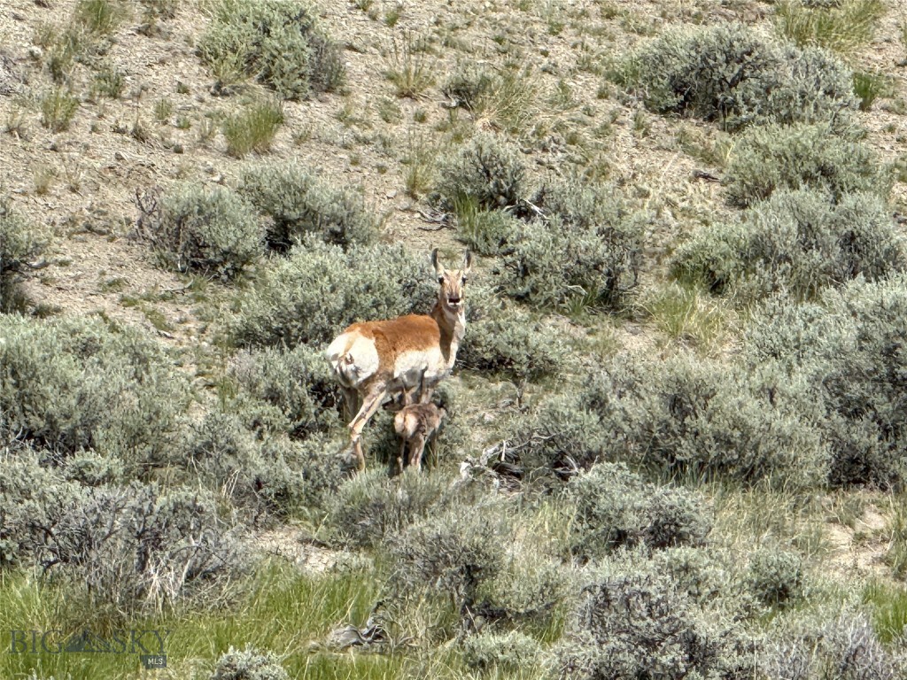 Minor Subdivision - Land