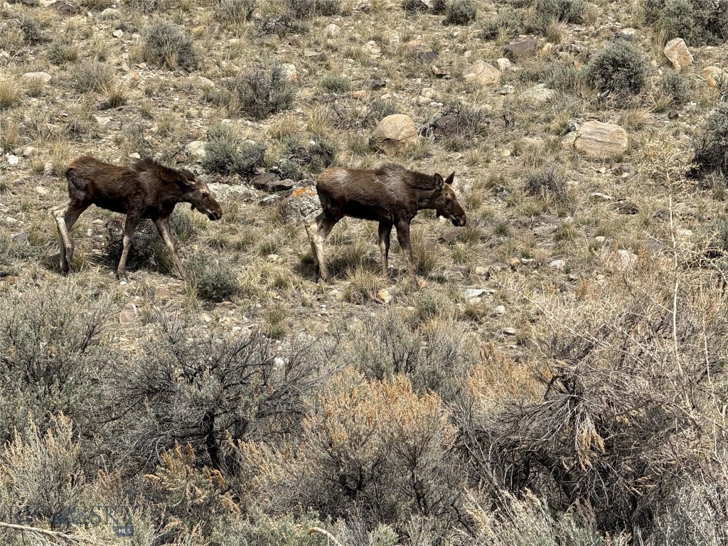 Minor Subdivision - Land