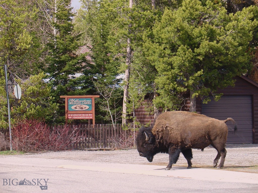 West Yellowstone Original Plat - Residential Income