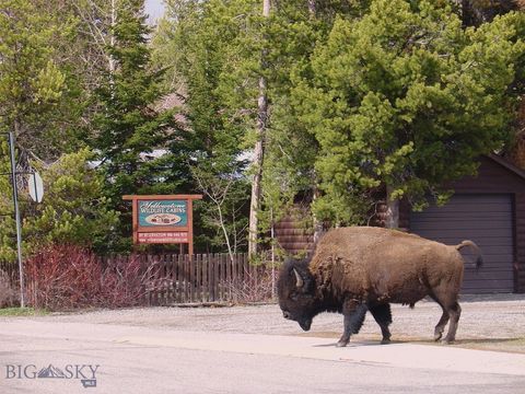 Photo of 225 N Geyser Street, West Yellowstone, MT 59758 (MLS # 407681)