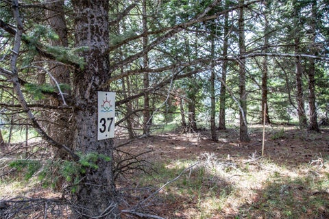 Photo of Lot 37 Sun West Ranch, Cameron, MT 59720 (MLS # 399295)