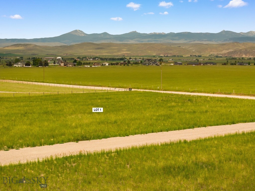Minor Subdivision - Land