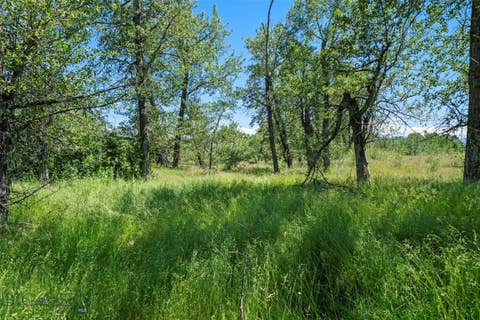 Photo of TBD Elk Lane, Bozeman, MT 59718 (MLS # 406491)