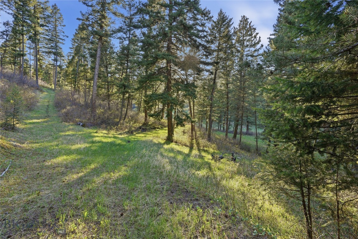 Mountain Brook - Residential