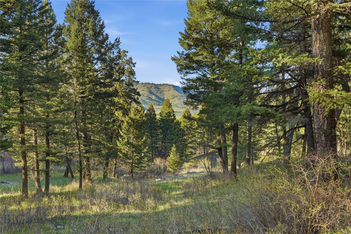 Mountain Brook - Residential