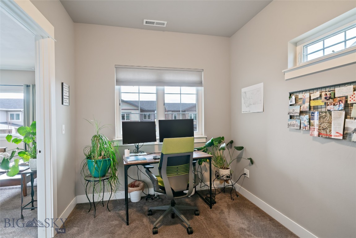 Cattail Creek - Residential