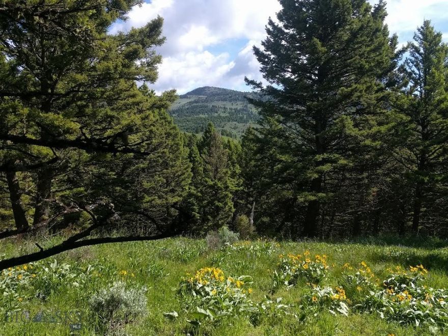Looking for seclusion that's not too far from civilization? This could be it. Access to this 20 acre lot is from Sunflower and possibly Rocky Mountain Meadows in the future. Enjoy the quiet, the nature, the many varieties of wildflowers, and even some wild strawberries. Because the property is densely timbered, the ground is soft and green thoughout most of the summer. With the landscape's diversity there are vast possibilities. There are soft rolling hills, steep inclines, a large draw that cuts down the middle of the lot, rock outcroppings, and corner to corner trees. With the right equipment you could access this land year round, but with a regular vehicle, it's what we call seasonal access. It could cause depression, the sellers said, "Because we wanted to cry every time we left." Go have a look and see how it makes you feel.