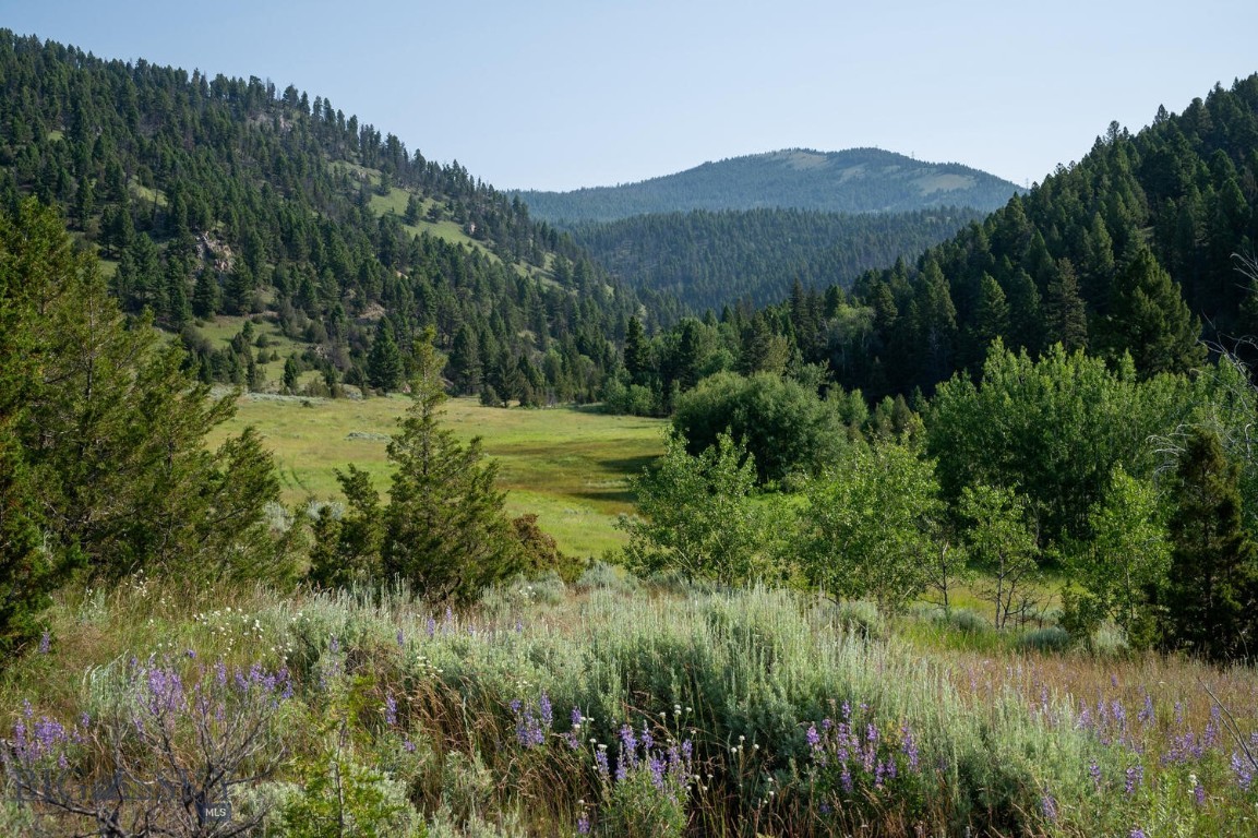 Basin, Montana 59631, United States, ,Land,Active,72188