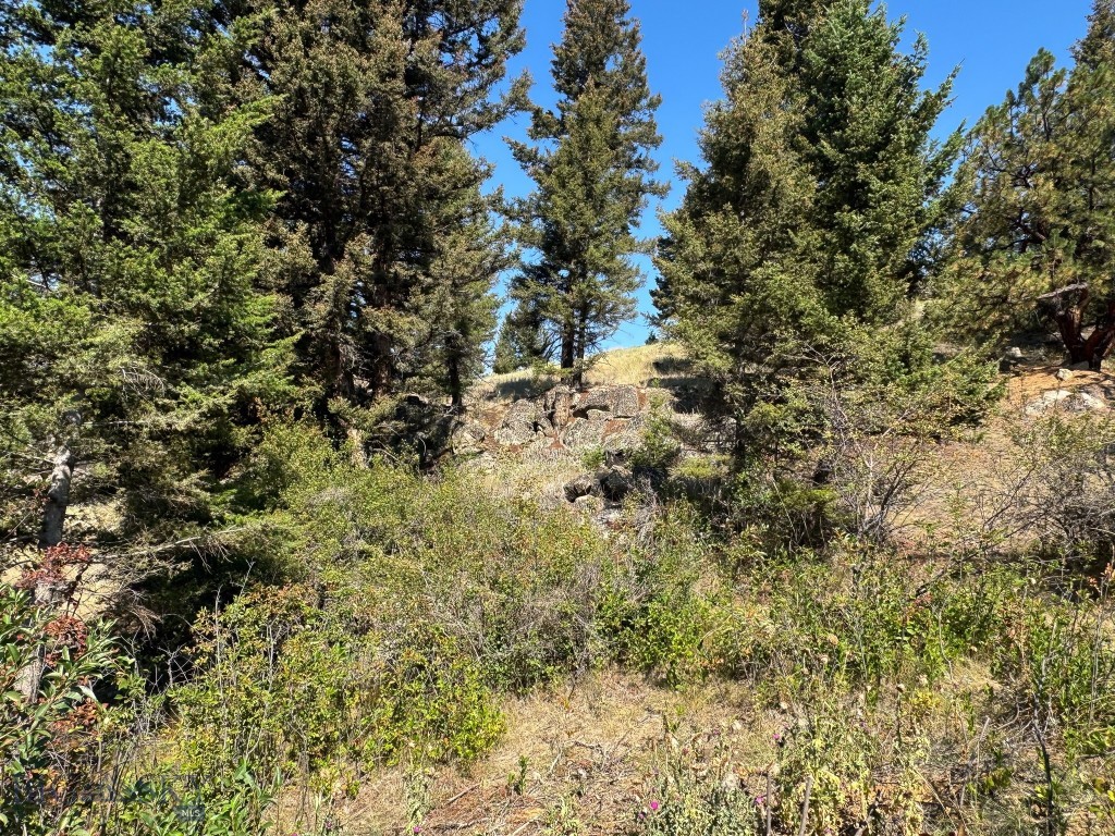 Aspen Valley Ranches - Residential