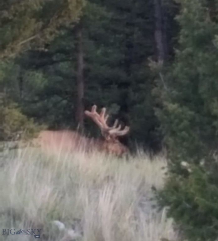 Aspen Valley Ranches - Residential