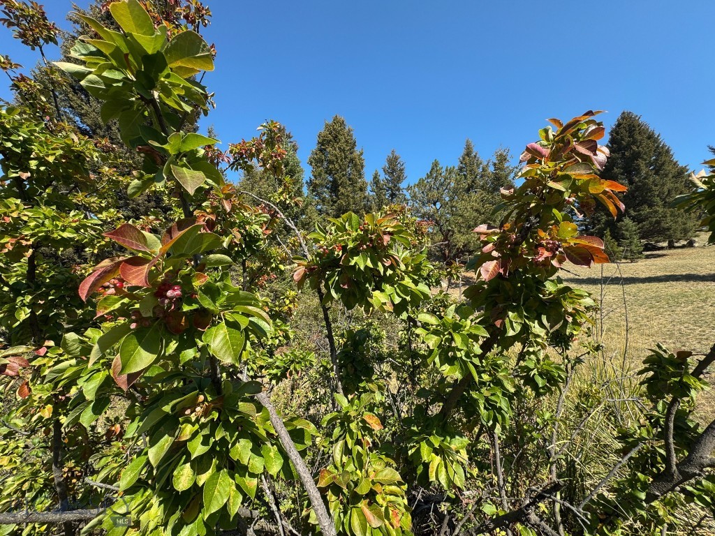 Aspen Valley Ranches - Residential
