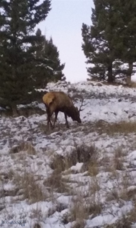 Aspen Valley Ranches - Residential