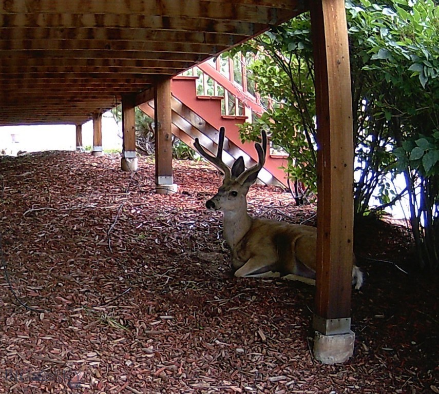 Aspen Valley Ranches - Residential