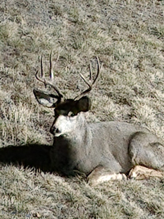 Aspen Valley Ranches - Residential
