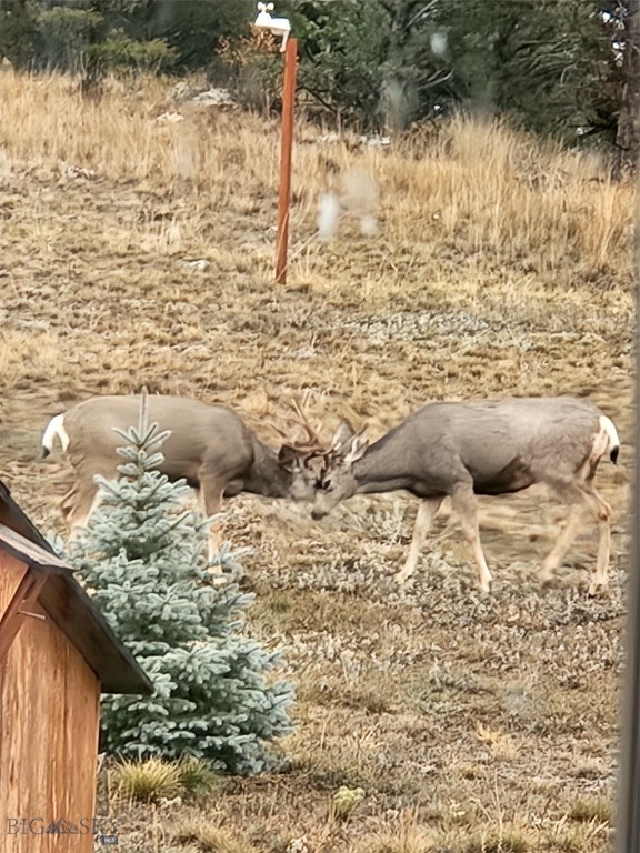 Aspen Valley Ranches - Residential
