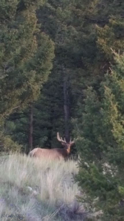 Aspen Valley Ranches - Residential