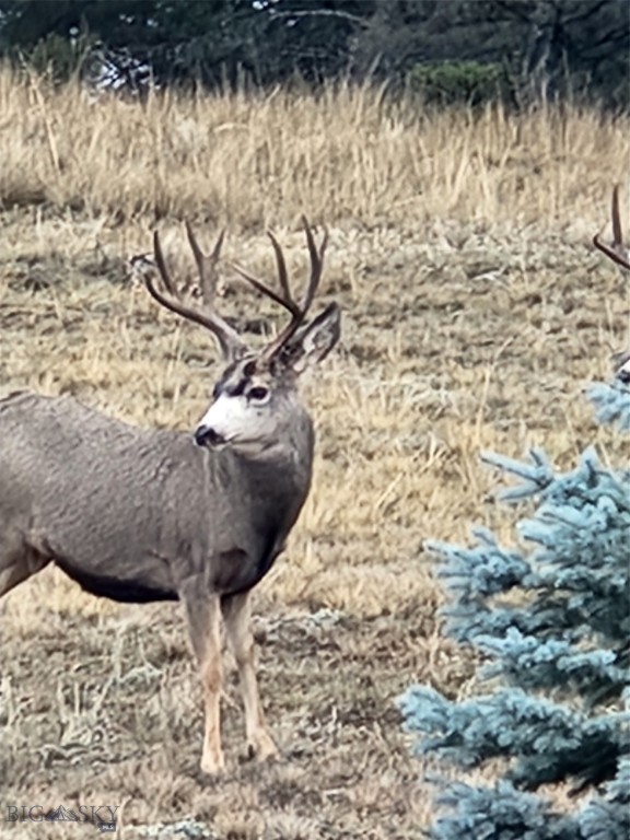 Aspen Valley Ranches - Residential