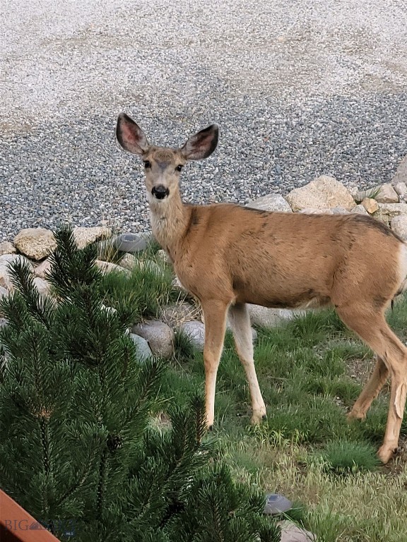 Aspen Valley Ranches - Residential