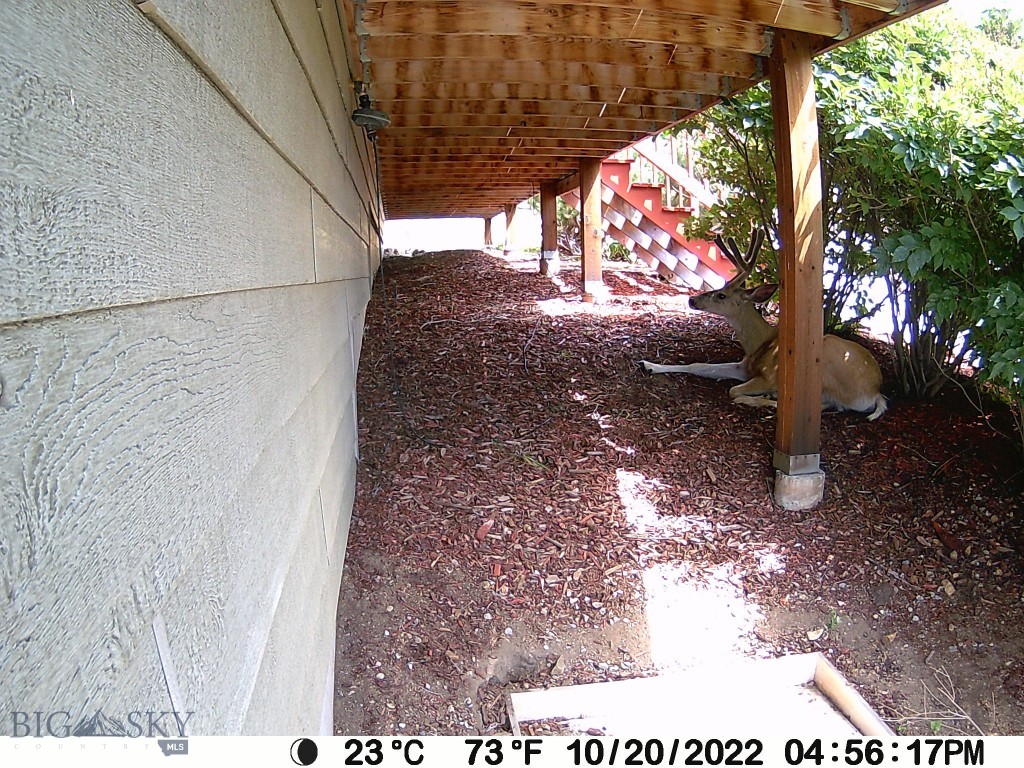 Aspen Valley Ranches - Residential