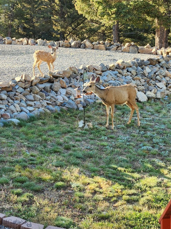 Aspen Valley Ranches - Residential