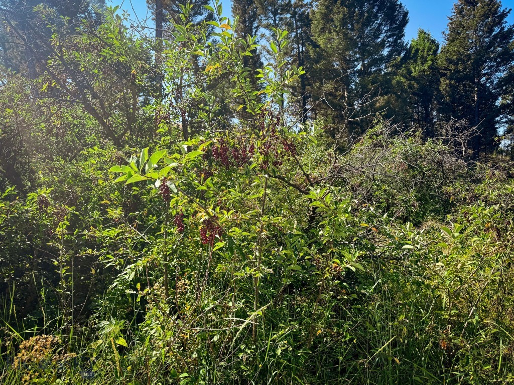Aspen Valley Ranches - Residential