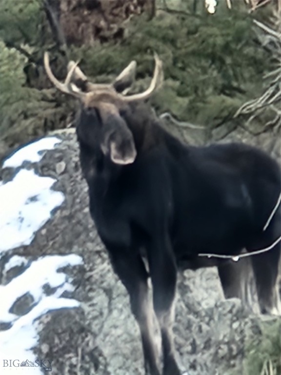 Aspen Valley Ranches - Residential