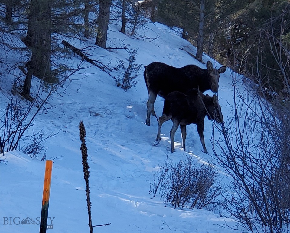 Aspen Valley Ranches - Residential