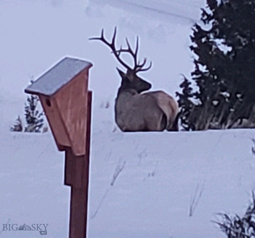 Aspen Valley Ranches - Residential