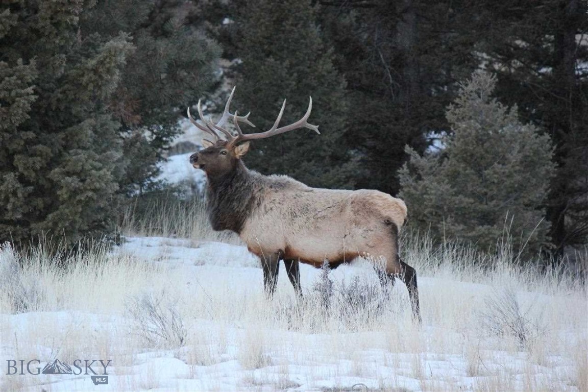 Aspen Valley Ranches - Residential