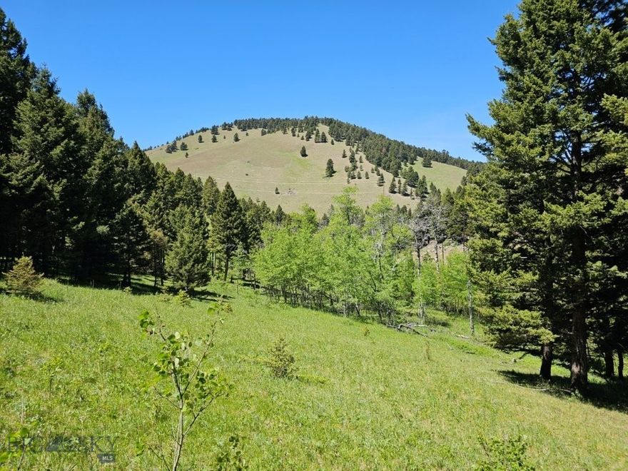 This Montana property borders BLM land with deer and elk, and a beautiful, leveled cabin or home site tucked away in the trees, back in the mountains near fantastic fishing. This 4.8 Acre property borders BLM land, which gives you more land you can hunt, hike, and enjoy right out your back door. It’s like you’re buying way more land you can take advantage of that’s right there next to your own property. Talk about stretching your dollar and making it work more for you. There are elk and deer on the property at times, and a good herd of both in the area, so owning this property and bordering the additional BLM land gives you all the more opportunity to see them and hunt them if you’d like. And there’s National Forest too within 1 ½ miles of the property. It’s a short drive or ATV ride, and you’ve got tens of thousands of acres of both the Helena and Beaverhead Deerlodge National Forests you can hunt, hike, and explore. This property puts you right out there in the mountains on the edge of all these vast amounts of public lands, you can take advantage of any time you take a notion. There’s a healthy herd of elk in the area as you’ll see when you’re there, and there’s elk sign and trails to prove it. The property is in Hunting District 335, where there are general over-the-counter deer and elk tags and a second cow elk tag that can be drawn, since there are so many elk in the hunting district. So there’s lots of opportunity year after year. And you’re just across the highway from the fabled Hunting District 380 in the Elkhorn Mountains with its limited elk permits and huge bulls. These elk cross into Hunting District 335, too, which might put them right in your backyard, where you can be ready to hunt the big ones. A building site has already been leveled on the property, so it’s ready to build your dream home or cabin in the woods. The setting is fantastic. There’s mature timber all around the building site and quaking aspen trees just below it, too, for plenty of shade and screening. A county road comes through a corner of the property, providing great access to your private driveway with a private gate for privacy.