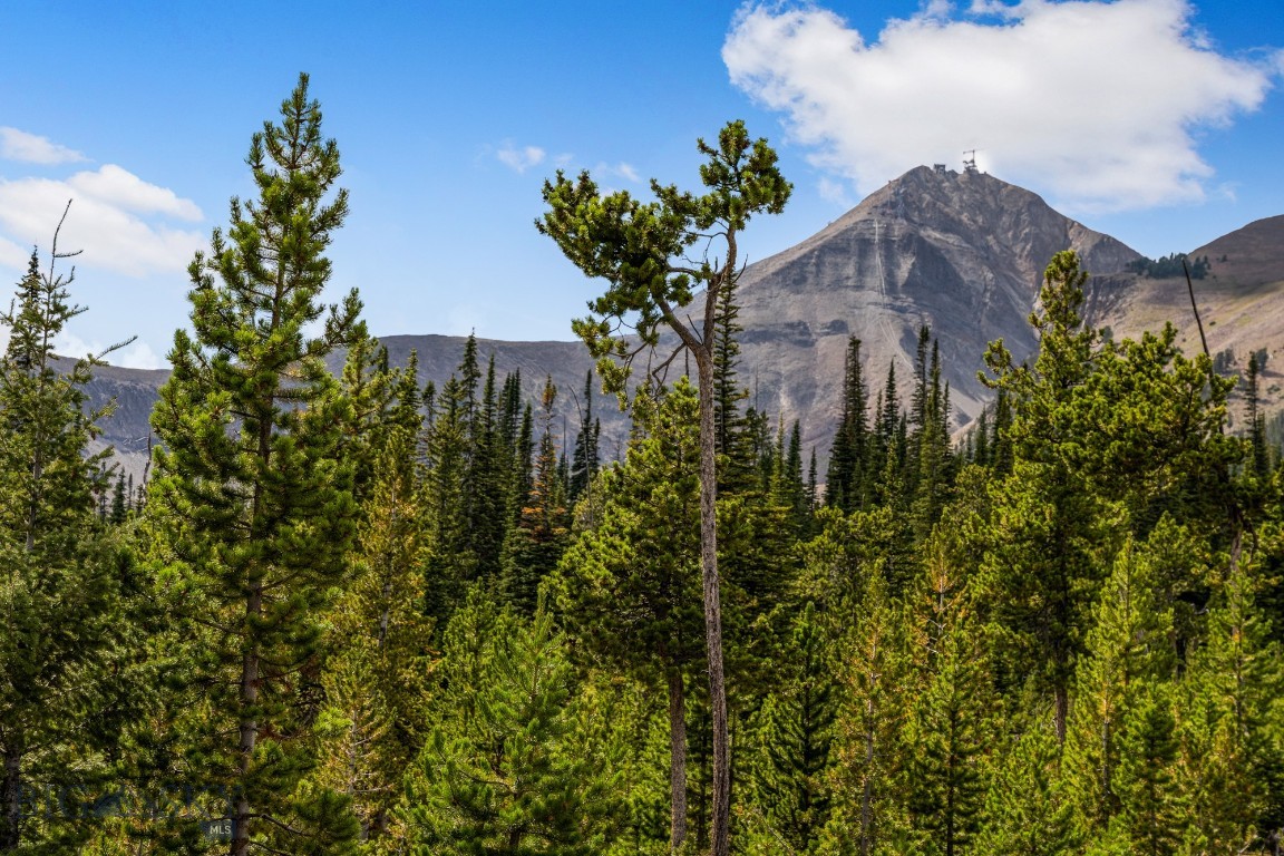 Big Sky, Montana 59716, United States, ,Land,Contingent,71103
