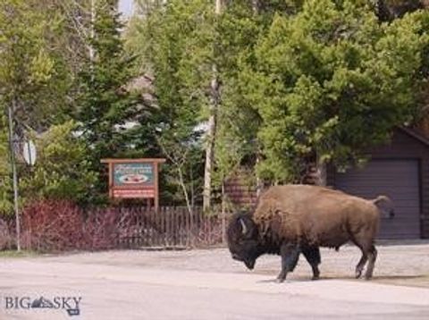 Photo of 225 N Geyser Street, West Yellowstone, MT 59758 (MLS # 406290)