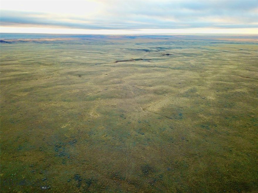 Welcome to Turkey Track Ranch a remarkable opportunity for ranchers and investors encapsulated with views of rolling plains and distant mountains. This expansive 880-acre parcel of grazing land is nestled in the heart of northeastern Montana, offering a unique blend of natural beauty and agricultural potential. Whether you want to expand your ranching operations or invest in a piece of Montana's rich landscape, this property promises endless possibilities. The property is fenced ensuring security and management convenience. Mineral rights will be transferred with the property.

Income Potential

The ranch is leased out during the summer grazing months, bringing in extra income.

Climate and Growing Conditions

Climate in the Saco area is semi-arid and typical of north-central Montana. Annual total precipitation is 12.92 inches. Rainfall occurs April through October with June and July being the wettest months. 

Recreational Opportunities

Nelson Reservoir, known for its superb Walleye fishing, is 12 miles from the property. Boat, fish, or camp under the Big Sky! The Milk River flows a few miles south of the property for additional fishing adventures. Head for dinner and a soak at Sleeping Buffalo Hot Springs just 15 miles away. Bring the horses for horseback riding. Travel the trails with an ATV or a four-wheeler. Enjoy the quiet country roads. The property is in hunting district 670 so put your sites on pheasants, quail, game birds, deer, coyotes, and antelope. 

Water

The north parcel includes water rights for stock watering purposes. Natural springs carve out paths with good rain and moisture. 

These 880 acres offer diverse uses and stand as a valuable asset for any prospective buyer. Don’t miss the​​‌​​​​‌​‌​​​​‌​​‌​​​​‌‌ opportunity!