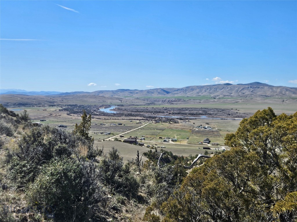 Ponderosa Pines - Land