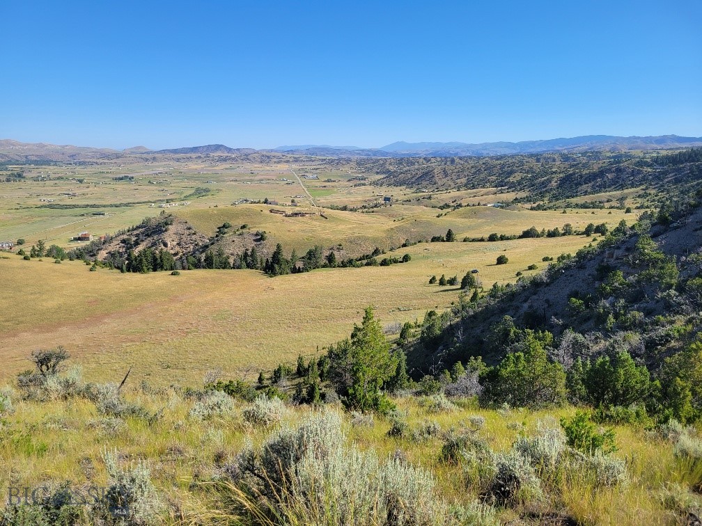 Ponderosa Pines - Land