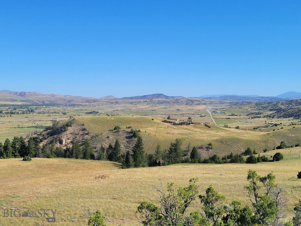 Ponderosa Pines - Land