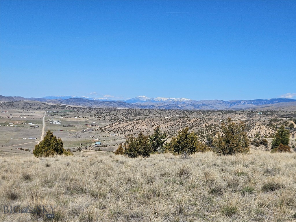 Ponderosa Pines - Land