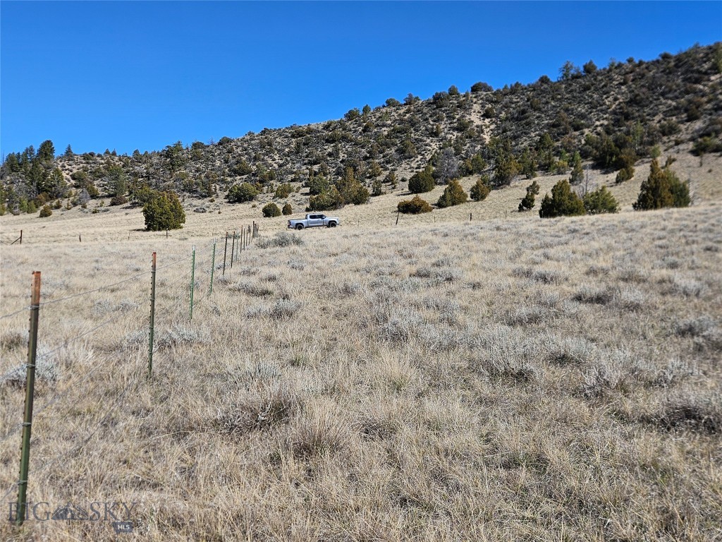 Ponderosa Pines - Land