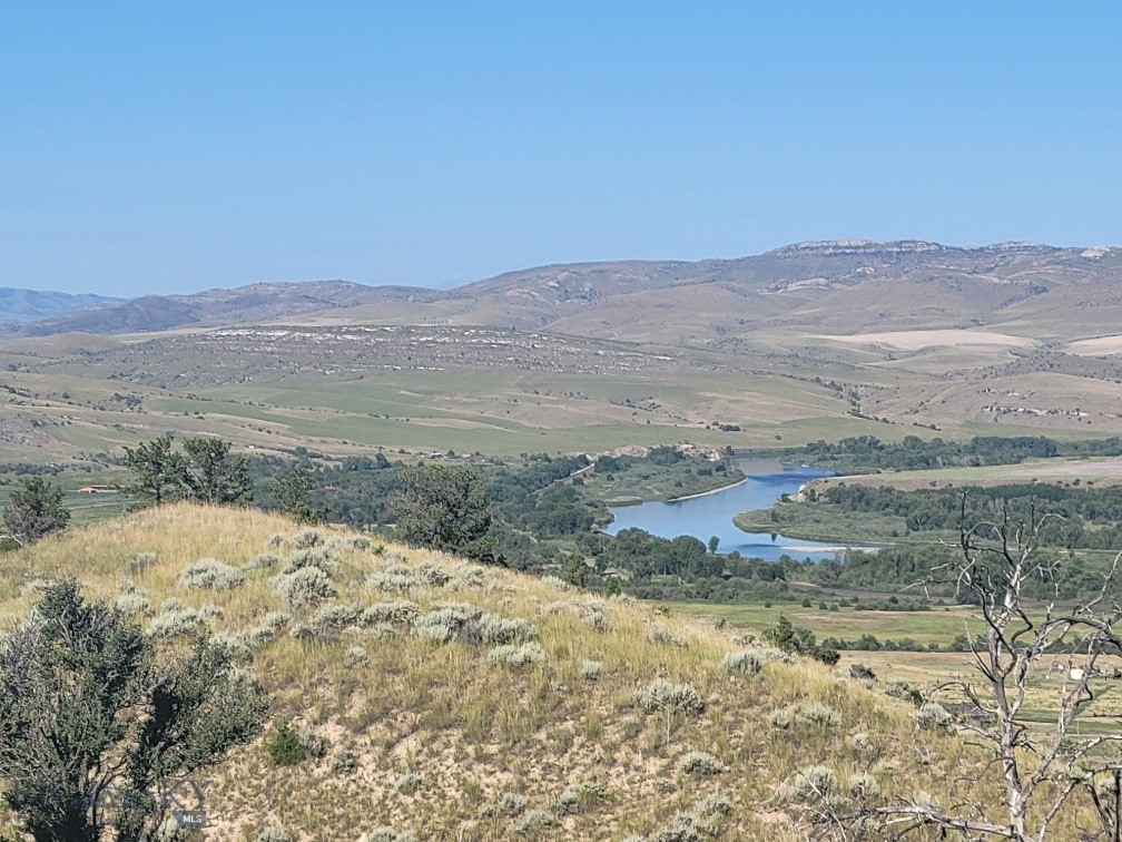 Ponderosa Pines - Land