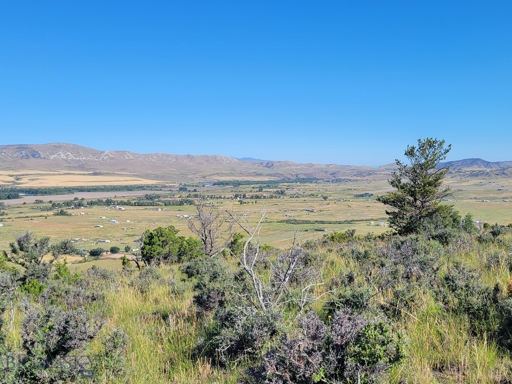 Ponderosa Pines - Land