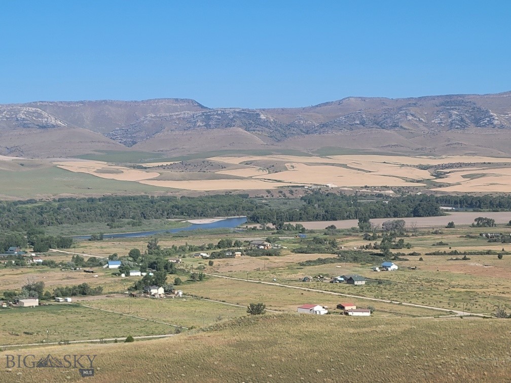 Ponderosa Pines - Land