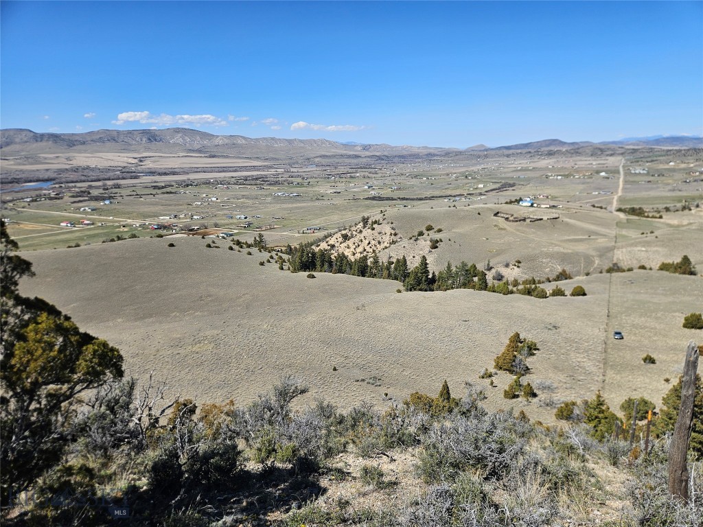 Ponderosa Pines - Land