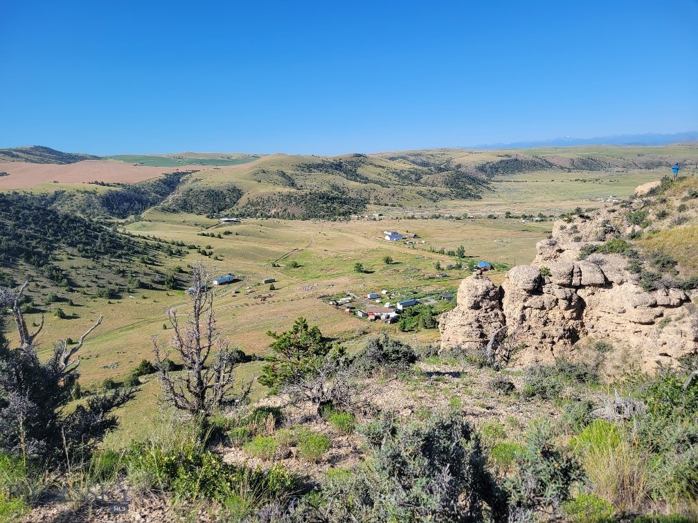 Ponderosa Pines - Land