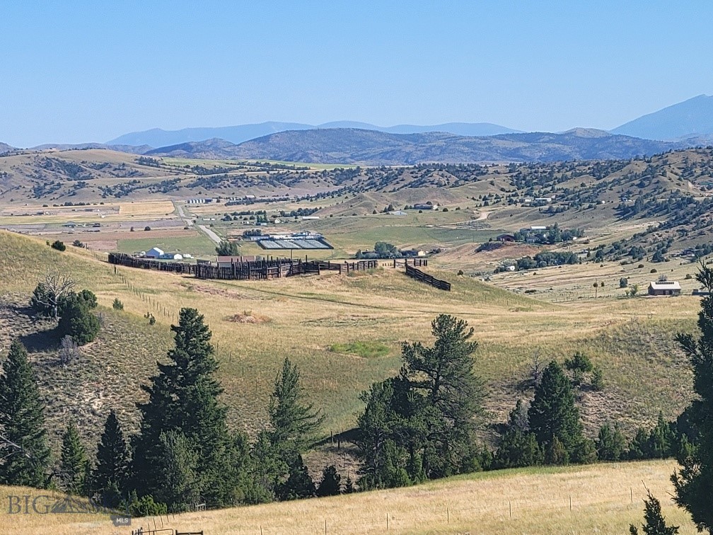 Ponderosa Pines - Land