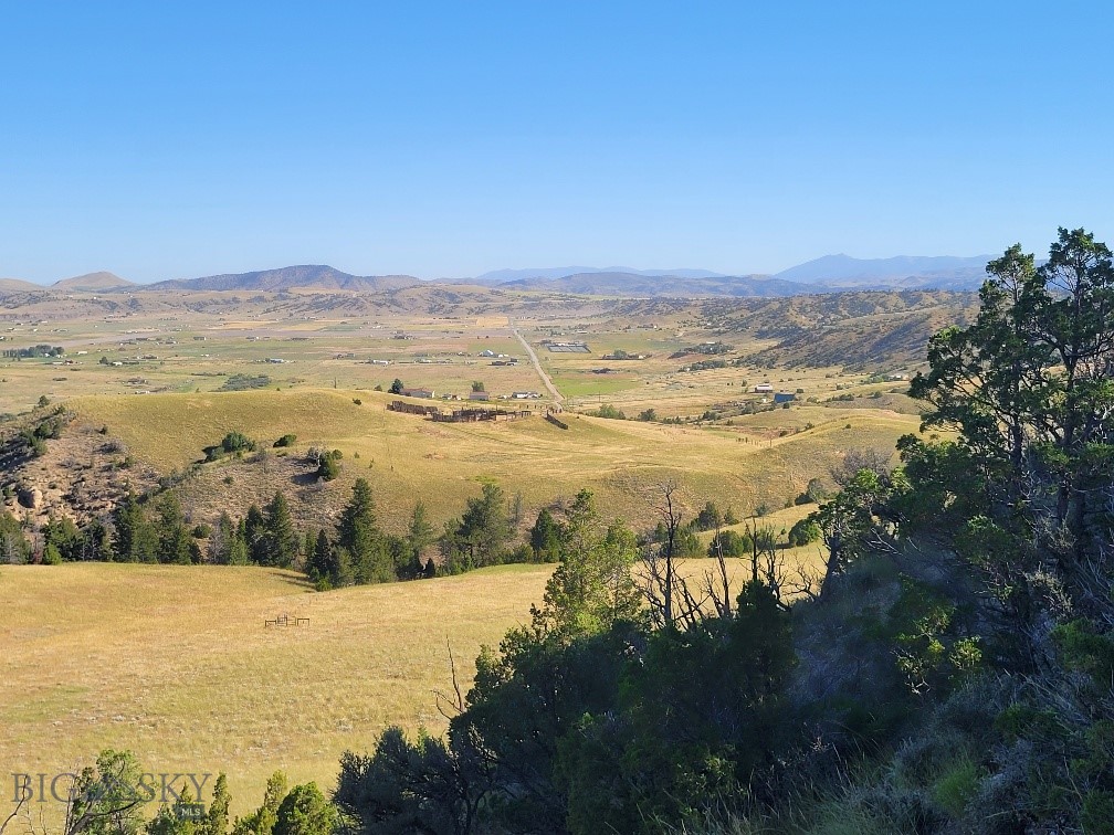 Ponderosa Pines - Land