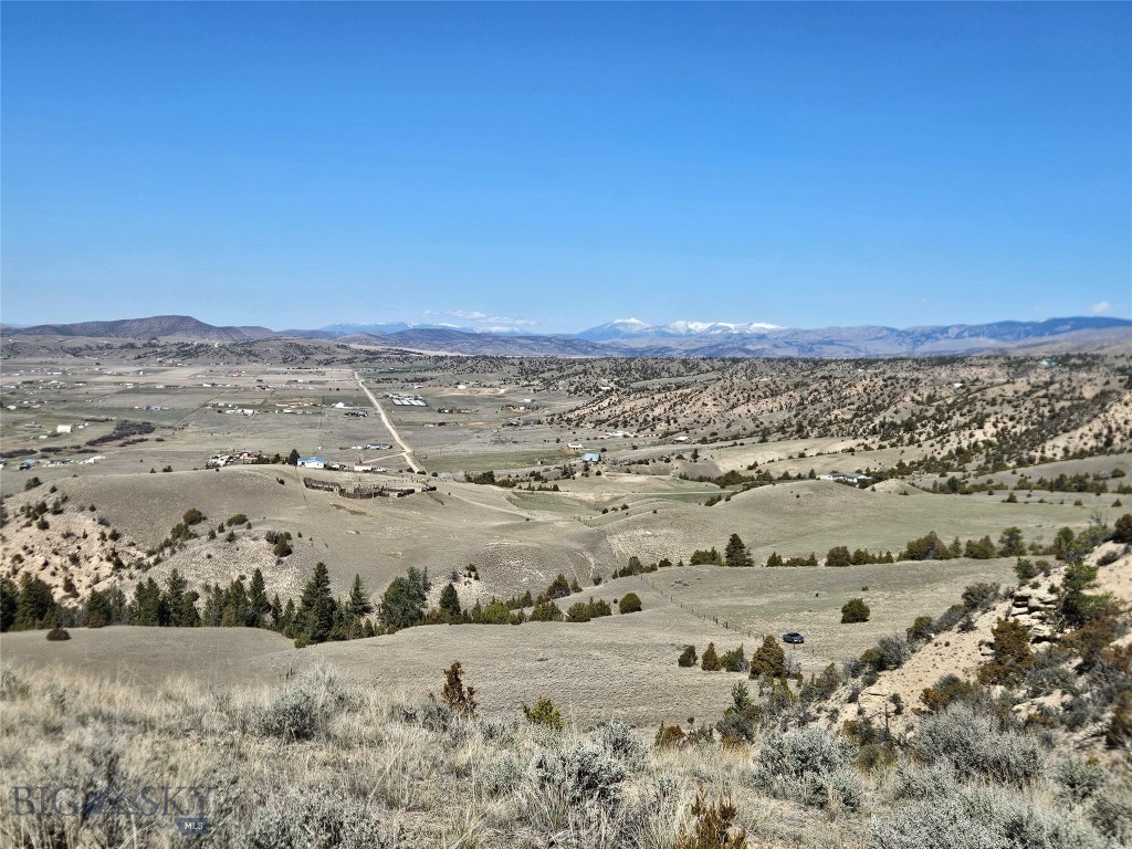 Ponderosa Pines - Land